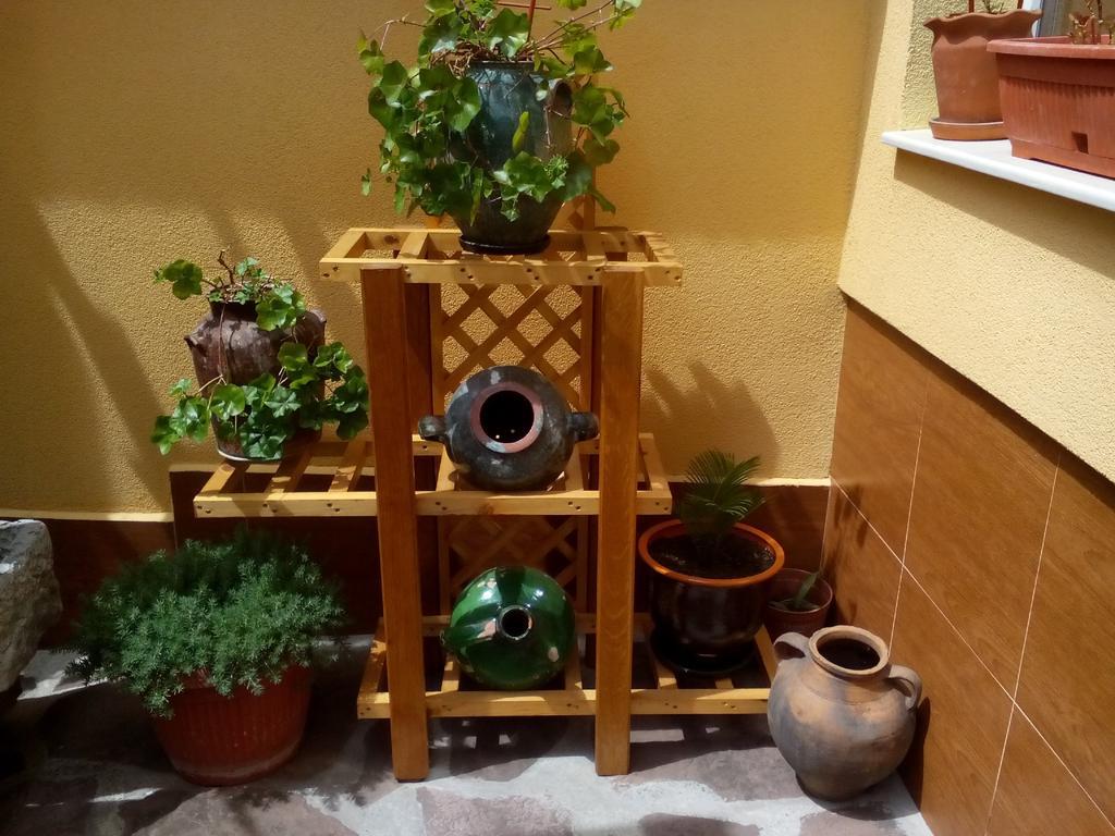 Guesthouse Geto ベログラドチク エクステリア 写真